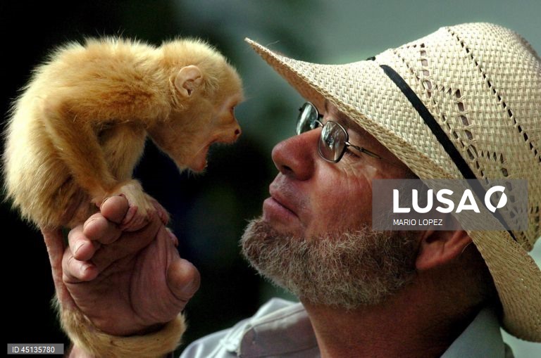 Dia Internacional da Consciencialização do albinismo a 13 de junho. (FOTOS DE ARQUIVO. 