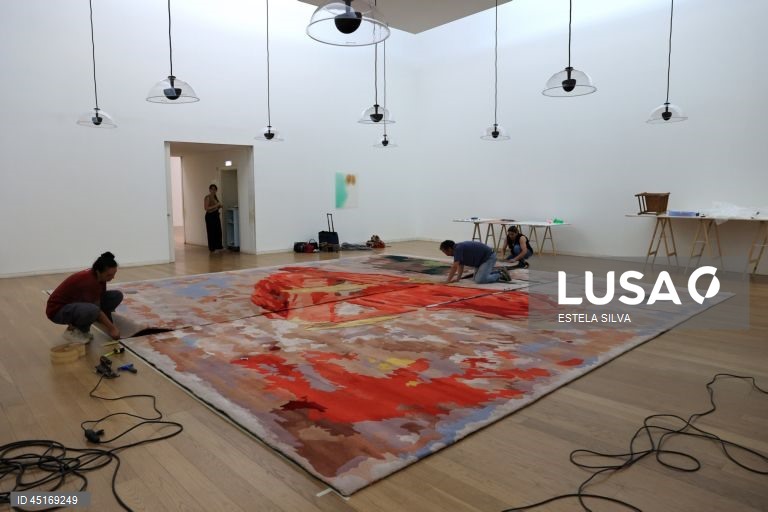 Serralves: Visita de imprensa à exposição "Provas Materiais" 