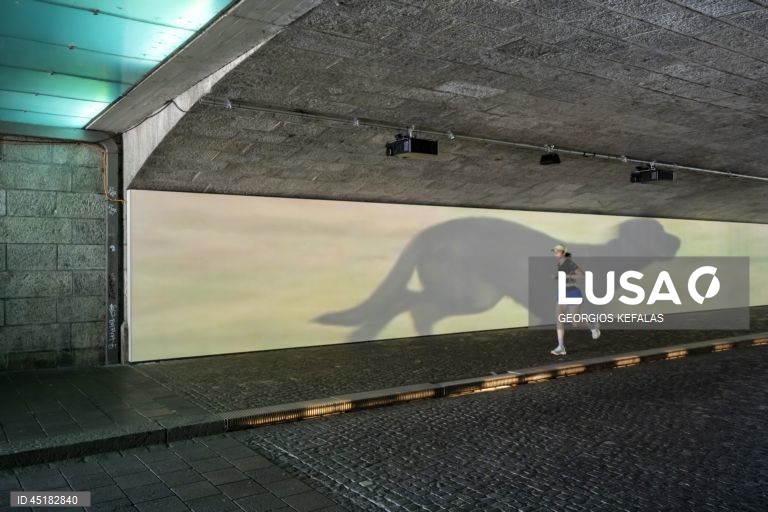 Sujiça: Art Basel 2025