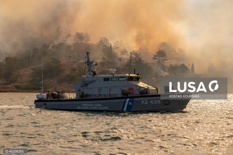 Grécia: Incêndio florestal continua a arder na ilha de Chios