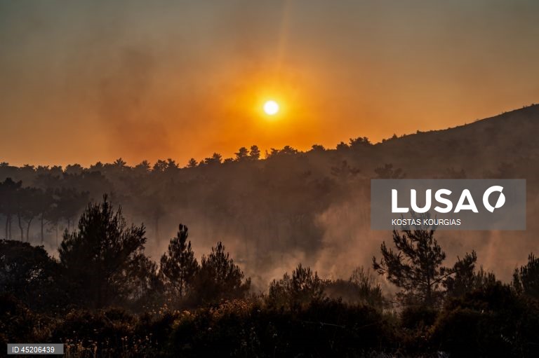 Grécia: Incêndio florestal continua a arder na ilha de Chios