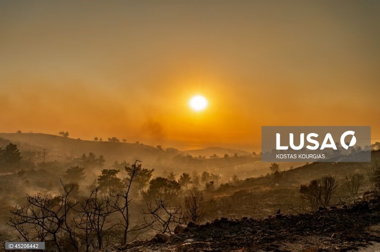 Grécia: Incêndio florestal continua a arder na ilha de Chios