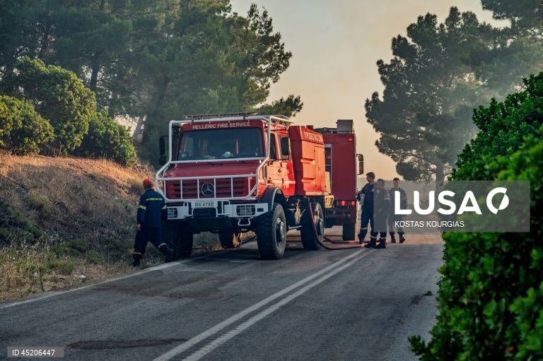 Grécia: Incêndio florestal continua a arder na ilha de Chios