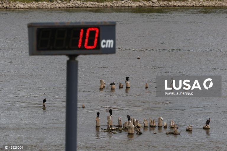 Polónia: nível baixo da água do rio Vístula devido à seca prolongada
