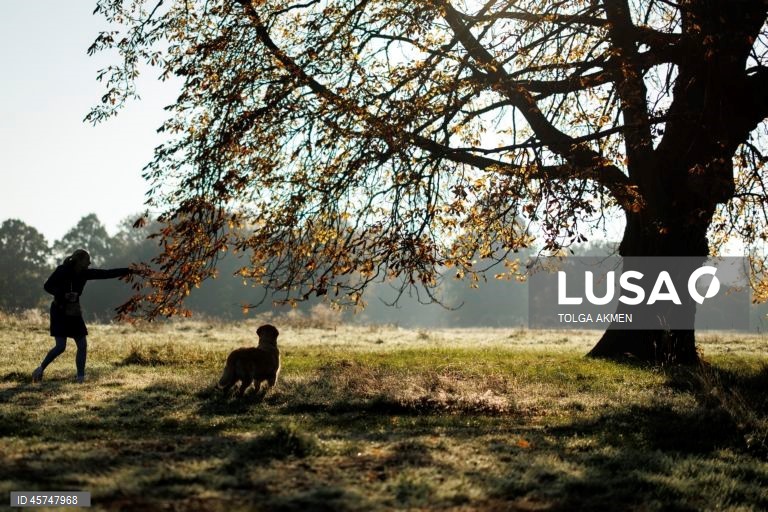 Reino Unido: Outono em Londres