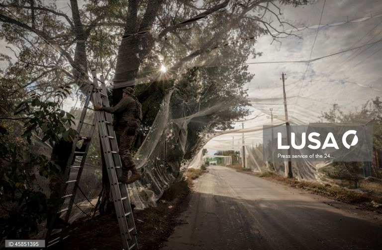 Ucrânia: Soldados da 24.ª brigada mecanizada com o nome do rei Danylo, instalam redes ao longo das estradas, para protegê-las de ataques com drones, numa cidade da linha da frente na região de Donetsk