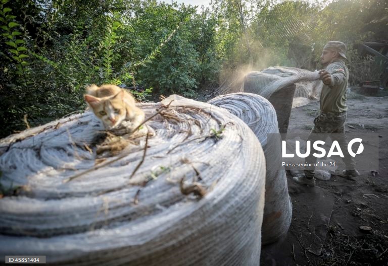 Ucrânia: Soldados da 24.ª brigada mecanizada com o nome do rei Danylo, instalam redes ao longo das estradas, para protegê-las de ataques com drones, numa cidade da linha da frente na região de Donetsk
