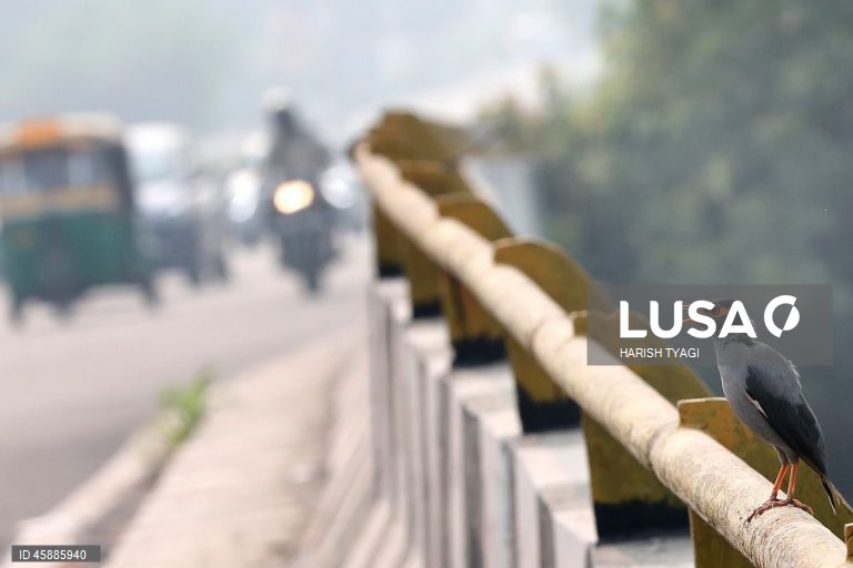 Índia: Delhi registra a pior qualidade do ar do mundo após o Diwali