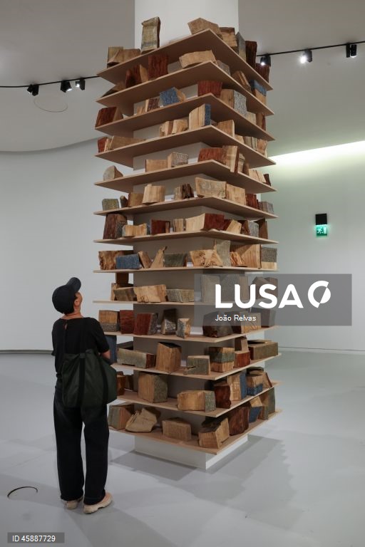 Visita de imprensa à exposição “Notre Feu”, de Isabelle Ferreira que é inaugurada ao público no próximo dia 22 de outubro, no Museu de Arte, Arquitetura e Tecnologia - MAAT Gallery, em Lisboa, 21 de outubro de 2025. JOÃO RELVAS/LUSA