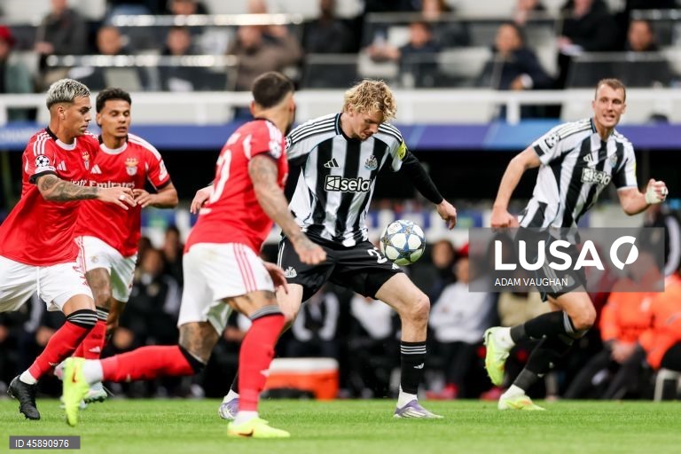 O Benfica foi hoje derrotado na visita aos ingleses do Newcastle, por 3-0, na terceira jornada da fase de liga da Liga dos Campeões de futebol, e continua sem pontuar na prova.