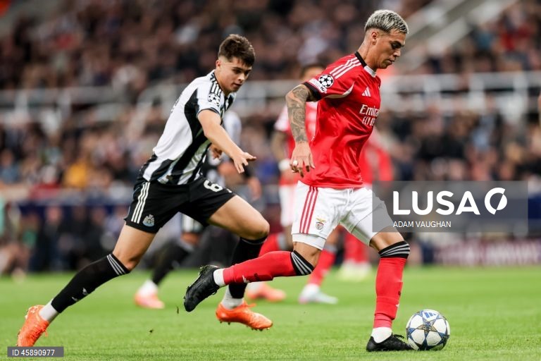O Benfica foi hoje derrotado na visita aos ingleses do Newcastle, por 3-0, na terceira jornada da fase de liga da Liga dos Campeões de futebol, e continua sem pontuar na prova.