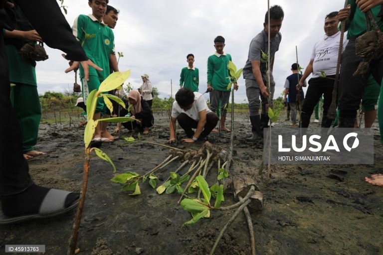 Alunos do Ensino Médio da Muhammadiyah plantam voluntariamente manguezais durante uma campanha de conservação de manguezais para estudantes em Banda Aceh, Indonésia.