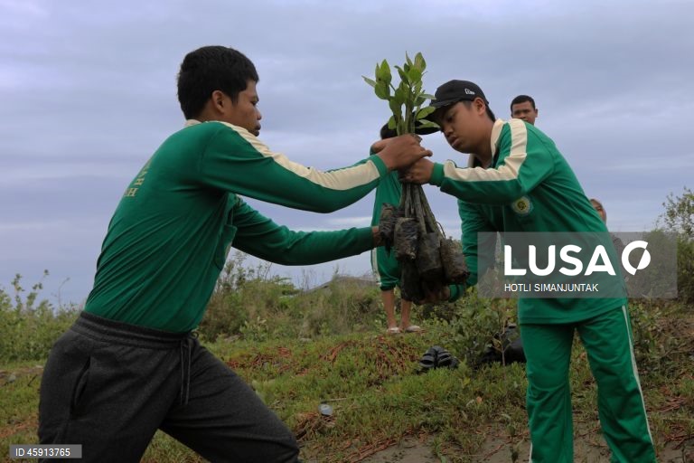 Alunos do Ensino Médio da Muhammadiyah plantam voluntariamente manguezais durante uma campanha de conservação de manguezais para estudantes em Banda Aceh, Indonésia.