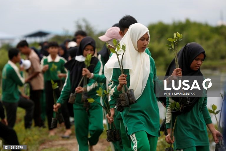 Alunos do Ensino Médio da Muhammadiyah plantam voluntariamente manguezais durante uma campanha de conservação de manguezais para estudantes em Banda Aceh, Indonésia.