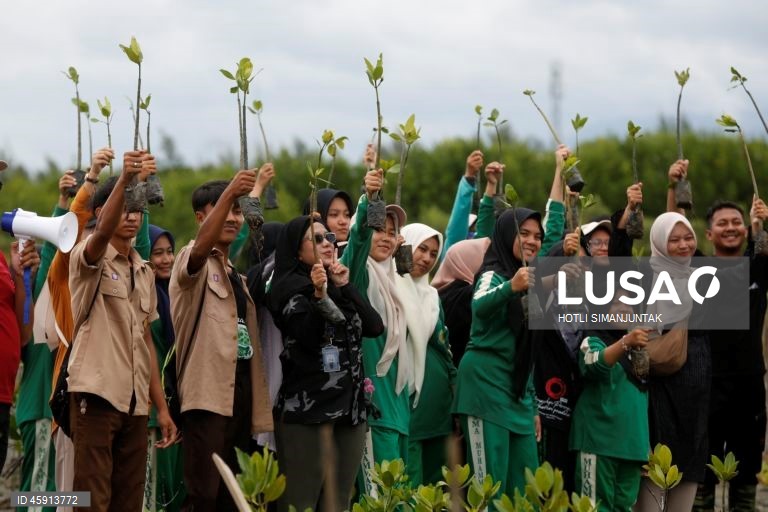 Alunos do Ensino Médio da Muhammadiyah plantam voluntariamente manguezais durante uma campanha de conservação de manguezais para estudantes em Banda Aceh, Indonésia.