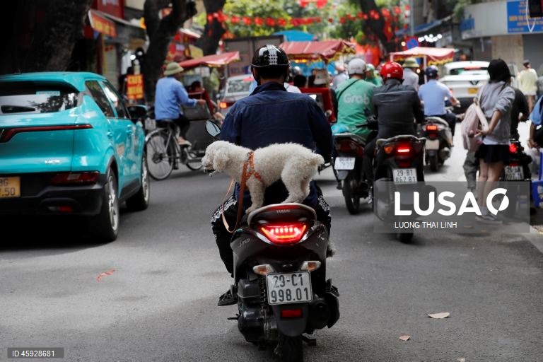 Vietname: Vida quotidiana em Hanoi