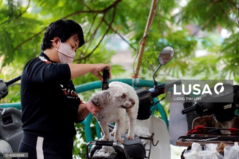 Vietname: Vida quotidiana em Hanoi