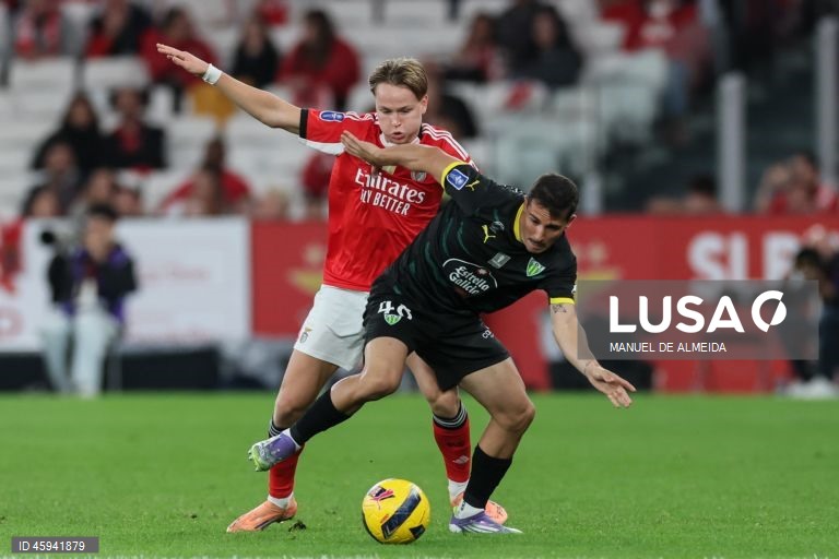 O detentor do título Benfica qualificou-se hoje para a ‘final four’ da edição 2025/26 da Taça da Liga em futebol, ao vencer em casa o Tondela por 3-0, marcando encontro nas meias-finais com o Sporting de Braga.