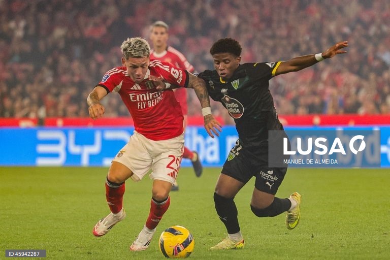 O detentor do título Benfica qualificou-se hoje para a ‘final four’ da edição 2025/26 da Taça da Liga em futebol, ao vencer em casa o Tondela por 3-0, marcando encontro nas meias-finais com o Sporting de Braga.