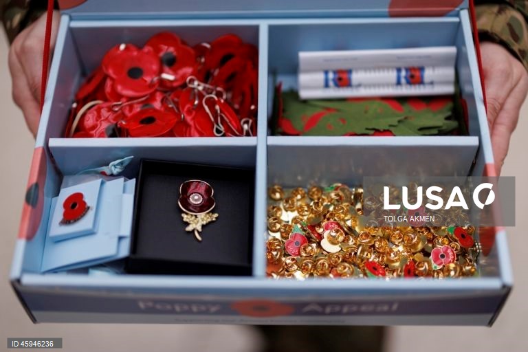 Dia da Papoila em Londres 