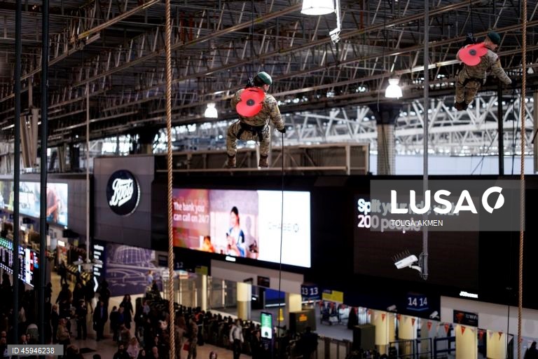 Dia da Papoila em Londres 