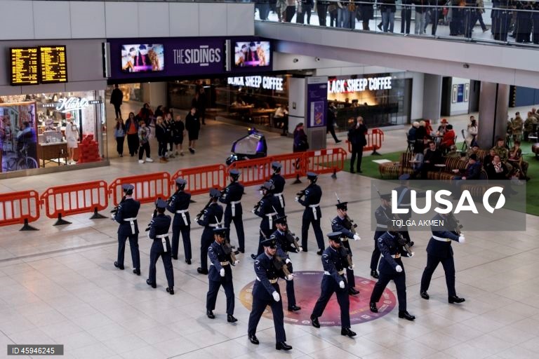 Dia da Papoila em Londres 