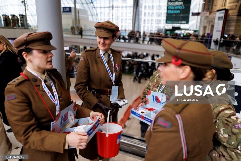 Dia da Papoila em Londres 