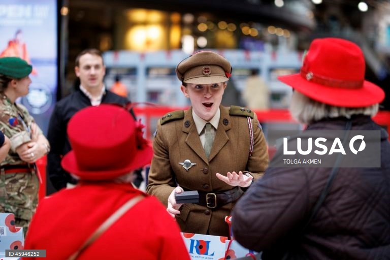 Dia da Papoila em Londres 