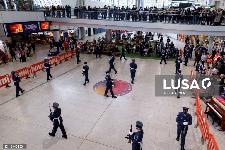 Dia da Papoila em Londres 