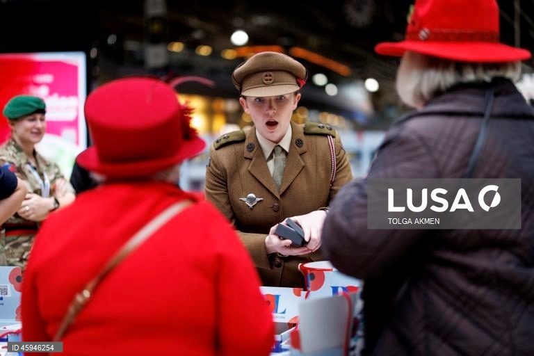 Dia da Papoila em Londres 