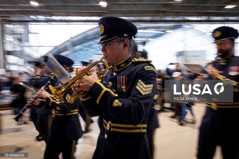 Dia da Papoila em Londres 