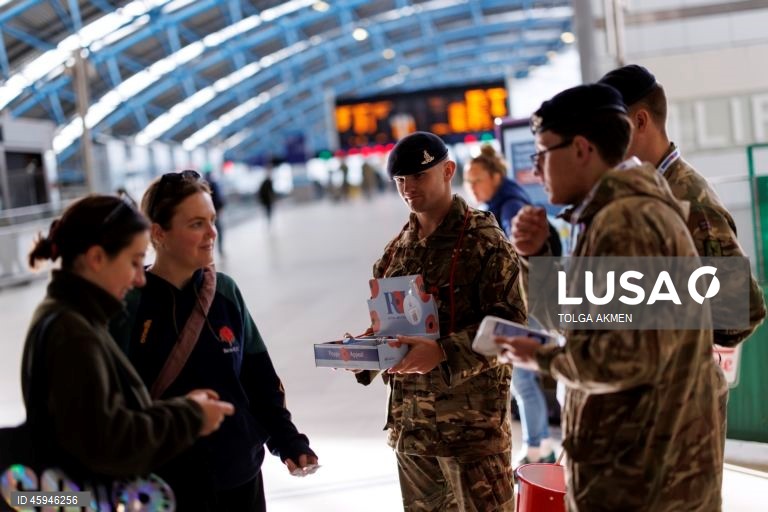 Dia da Papoila em Londres 