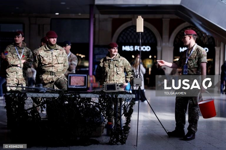 Dia da Papoila em Londres 