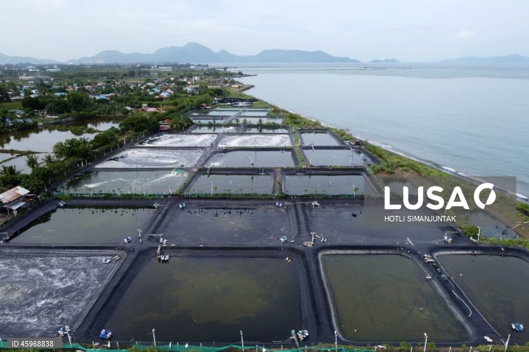 A Indonésia começou a emitir certificados comprovando que os carregamentos de camarão para os Estados Unidos estão livres de contaminação radioativa depois que a Food and Drug Administration (FDA) dos EUA encontrou vestígios do perigoso radionuclídeo Cs-137 em uma amostra no início de agosto de 2025 e levou a FDA dos EUA a exigir a certificação das importações de camarão de locais com risco de contaminação a partir de 31 de outubro.  
