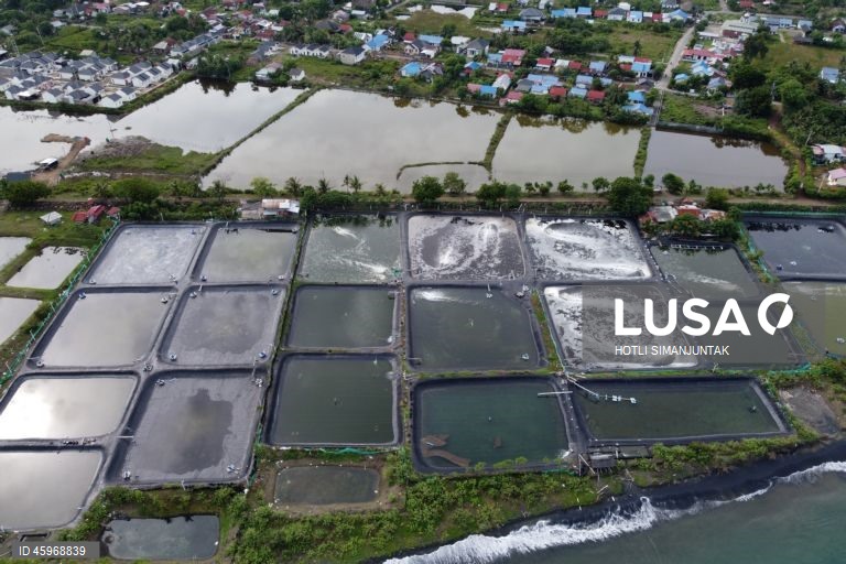 A Indonésia começou a emitir certificados comprovando que os carregamentos de camarão para os Estados Unidos estão livres de contaminação radioativa depois que a Food and Drug Administration (FDA) dos EUA encontrou vestígios do perigoso radionuclídeo Cs-137 em uma amostra no início de agosto de 2025 e levou a FDA dos EUA a exigir a certificação das importações de camarão de locais com risco de contaminação a partir de 31 de outubro.  
