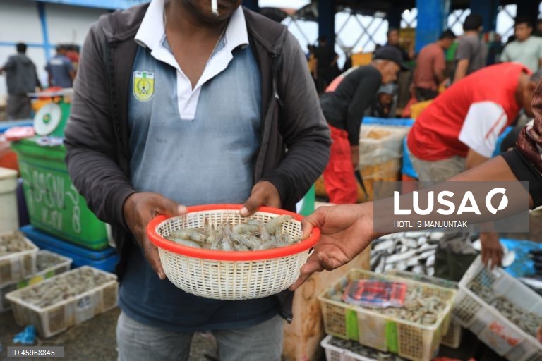 A Indonésia começou a emitir certificados comprovando que os carregamentos de camarão para os Estados Unidos estão livres de contaminação radioativa depois que a Food and Drug Administration (FDA) dos EUA encontrou vestígios do perigoso radionuclídeo Cs-137 em uma amostra no início de agosto de 2025 e levou a FDA dos EUA a exigir a certificação das importações de camarão de locais com risco de contaminação a partir de 31 de outubro.  
