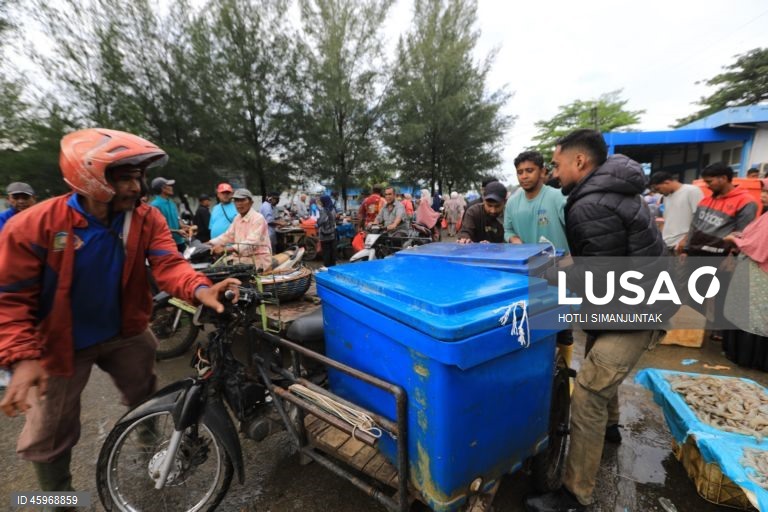 A Indonésia começou a emitir certificados comprovando que os carregamentos de camarão para os Estados Unidos estão livres de contaminação radioativa depois que a Food and Drug Administration (FDA) dos EUA encontrou vestígios do perigoso radionuclídeo Cs-137 em uma amostra no início de agosto de 2025 e levou a FDA dos EUA a exigir a certificação das importações de camarão de locais com risco de contaminação a partir de 31 de outubro.  
