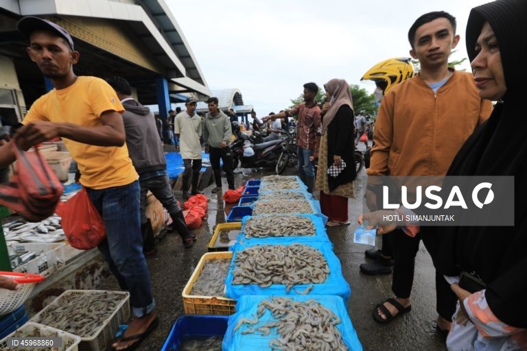 A Indonésia começou a emitir certificados comprovando que os carregamentos de camarão para os Estados Unidos estão livres de contaminação radioativa depois que a Food and Drug Administration (FDA) dos EUA encontrou vestígios do perigoso radionuclídeo Cs-137 em uma amostra no início de agosto de 2025 e levou a FDA dos EUA a exigir a certificação das importações de camarão de locais com risco de contaminação a partir de 31 de outubro.  
