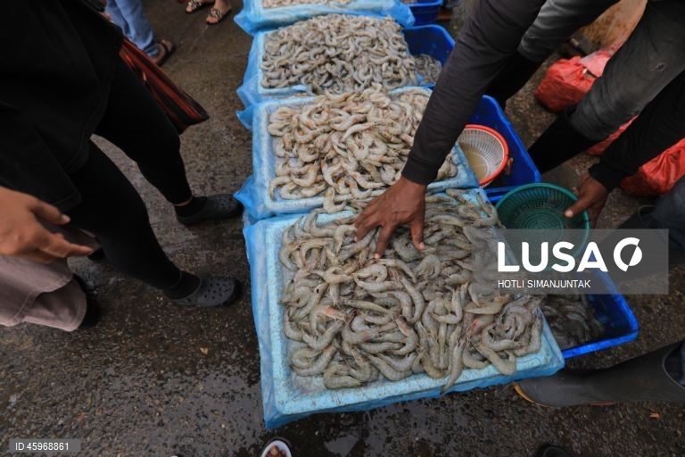 A Indonésia começou a emitir certificados comprovando que os carregamentos de camarão para os Estados Unidos estão livres de contaminação radioativa depois que a Food and Drug Administration (FDA) dos EUA encontrou vestígios do perigoso radionuclídeo Cs-137 em uma amostra no início de agosto de 2025 e levou a FDA dos EUA a exigir a certificação das importações de camarão de locais com risco de contaminação a partir de 31 de outubro.  
