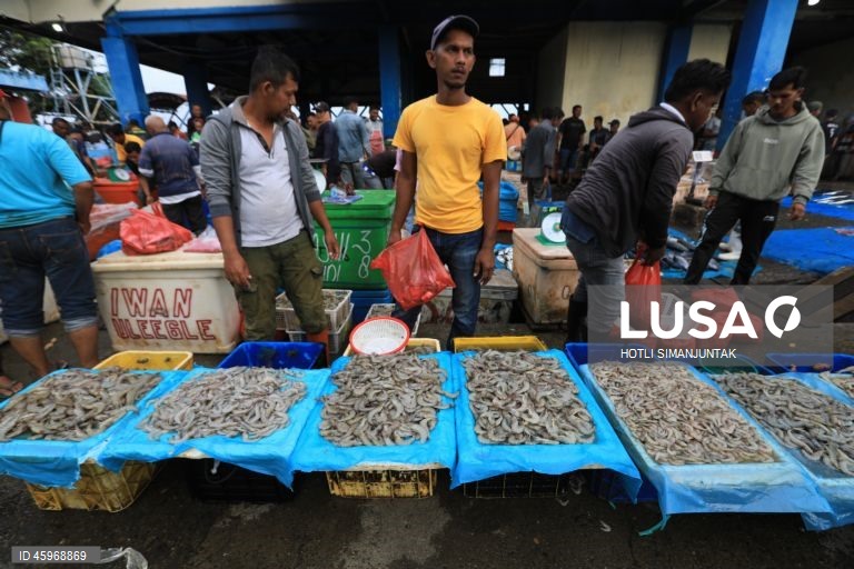 A Indonésia começou a emitir certificados comprovando que os carregamentos de camarão para os Estados Unidos estão livres de contaminação radioativa depois que a Food and Drug Administration (FDA) dos EUA encontrou vestígios do perigoso radionuclídeo Cs-137 em uma amostra no início de agosto de 2025 e levou a FDA dos EUA a exigir a certificação das importações de camarão de locais com risco de contaminação a partir de 31 de outubro.  
