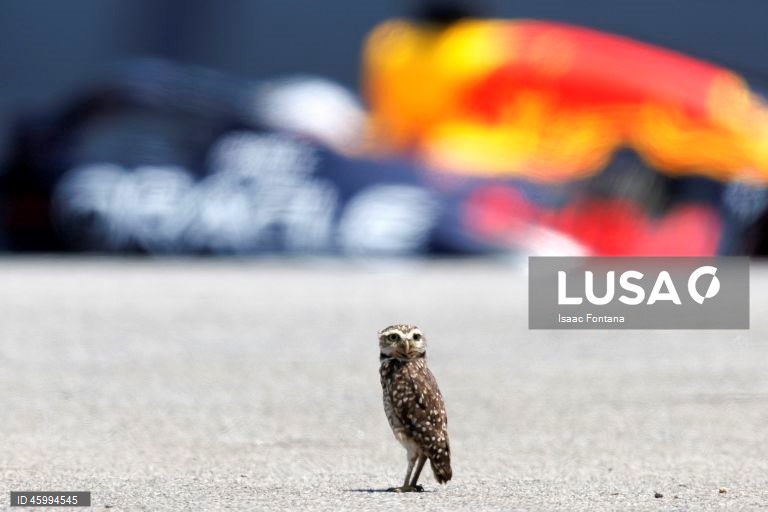 Automobilismo: F1 - Treinos para o Grande Prémio do Brasil