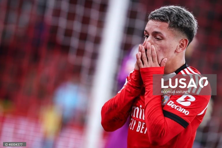 I Liga: Benfica vs Casa Pia