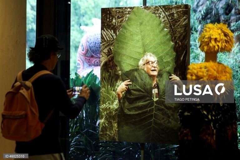 Visita guiada para a comunicação social à exposição “Complexo Brasil”, imaginada por José Miguel Wisnik, Milena Britto e Guilherme Wisnik, a exposição ocupa as duas galerias do Edifício Sede da Fundação Calouste Gulbenkian, propondo uma viagem singular pela diversidade e contrastes da cultura brasileira em Lisboa, 13 de novembro de 2025. TIAGO PETINGA/LUSA