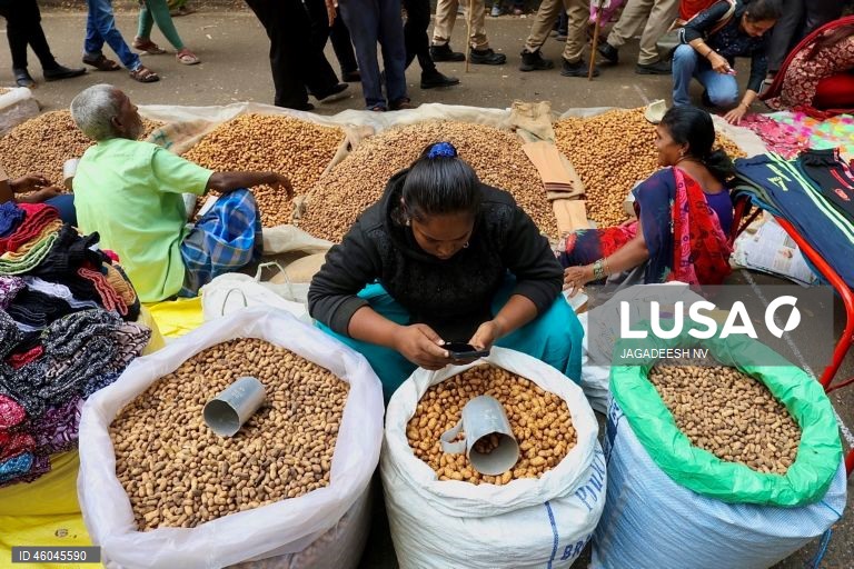 Índia: Feira anual do amendoim em Bangalore