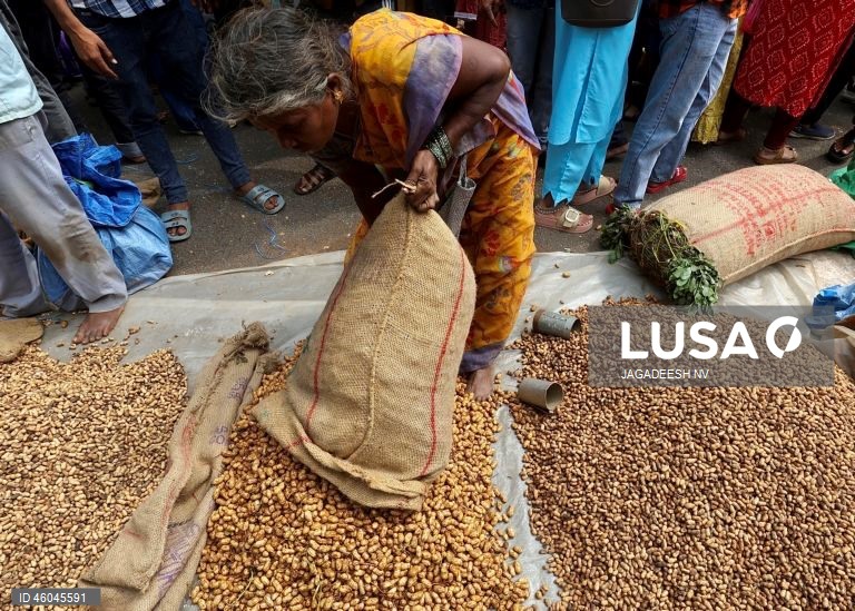 Índia: Feira anual do amendoim em Bangalore