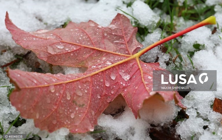 Rússia: Tempo chuvoso em Moscovo