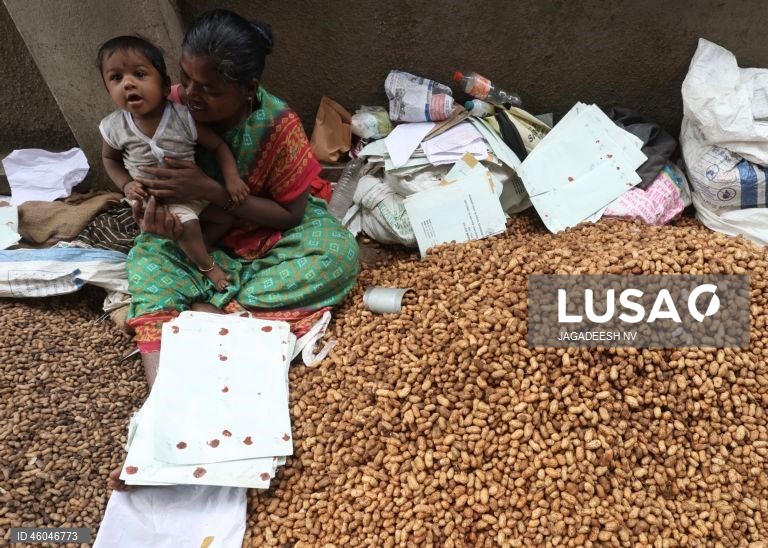 Índia: Feira anual do amendoim em Bangalore