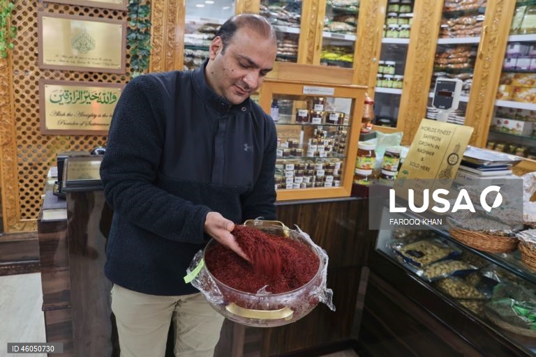 Índia: Cultivo do açafrão em Caxemira