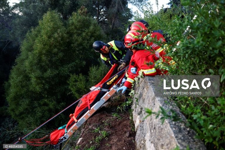 Bombeiros voluntários de Campo de Ourique durante o exercício nacional "Fénix", no âmbito do Apoio Militar de Emergência, no Parque Florestal de Monsanto, em Lisboa, 18 de novembro de 2025. O exercício decorreu na região de Lisboa, envolvendo mais de 300 operacionais e mais de 100 viaturas, com o objetivo de testar e validar a resposta coordenada do Sistema de Apoio Militar de Emergência do Exército às solicitações de apoio da Autoridade Nacional de Emergência e Proteção Civil (ANEPC), em...