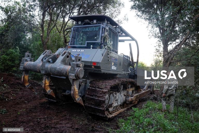 Um militar do Exército Português caminha junto a uma máquina de desbastação de mato durante o exercício nacional "Fénix", no âmbito do Apoio Militar de Emergência, no Parque Florestal de Monsanto, em Lisboa, 18 de novembro de 2025. O exercício decorreu na região de Lisboa, envolvendo mais de 300 operacionais e mais de 100 viaturas, com o objetivo de testar e validar a resposta coordenada do Sistema de Apoio Militar de Emergência do Exército às solicitações de apoio da Autoridade Nacional de...